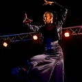 flamenco (103)